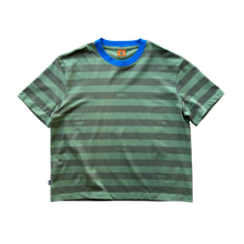 filthy® faded stripe tee (green)